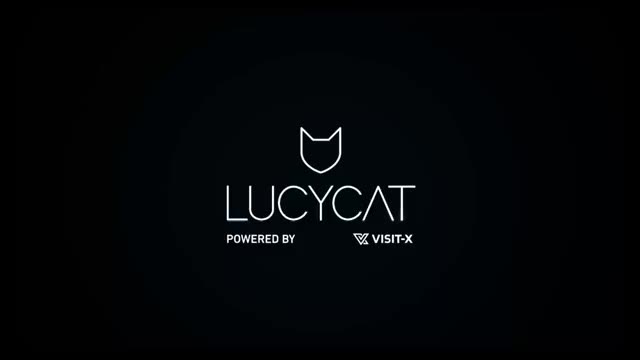 Lucy-Cat Outdoor
