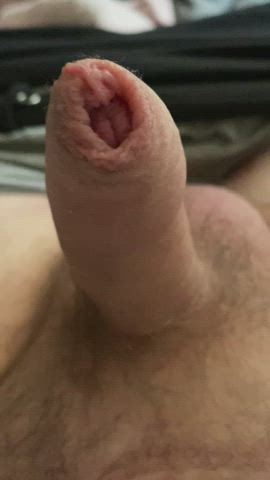 Would you suck my cock?