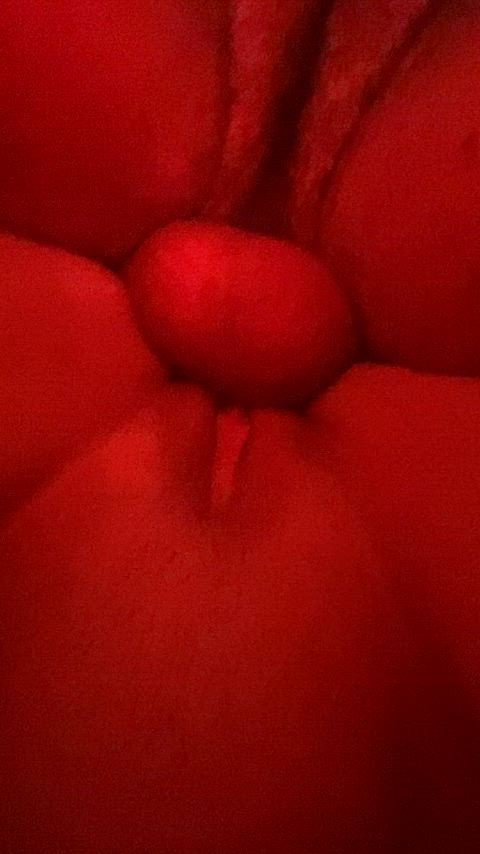 balls close up cock doggystyle from below wet pussy clip