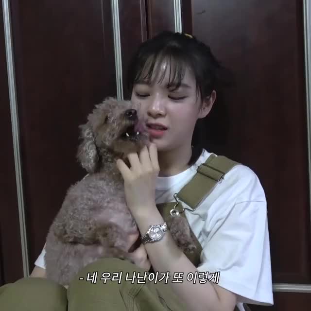 JEONGYEON TV Cooking video of Doggy snack!  BEHIND SELF-CAM