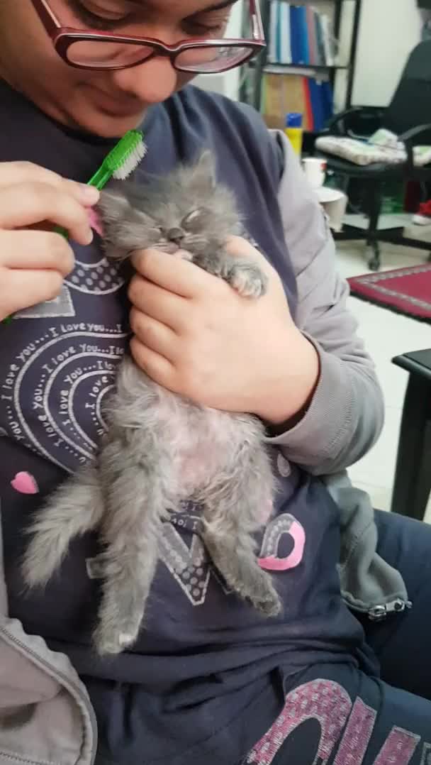 Brushy time for baby Ashley.