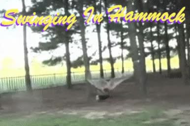 swinging in hammock
