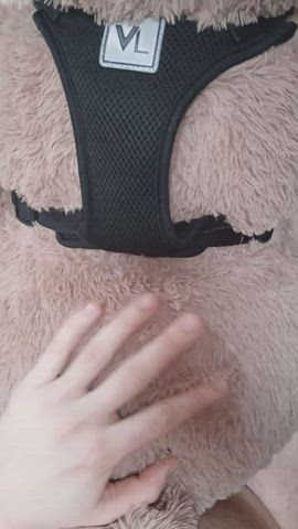 bear sex toy clip