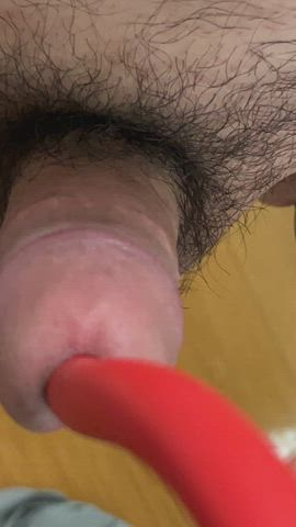 BDSM GIF by urethral