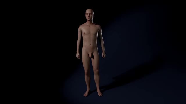 3D sex game character
