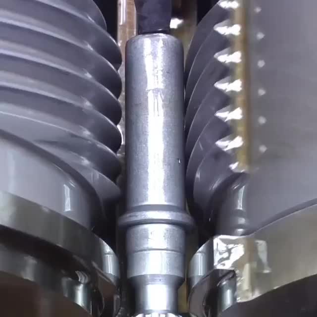  clip