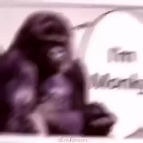 Ok so basically im monky