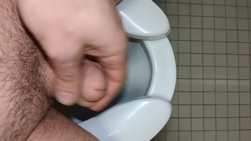 Public toilet floppy cum