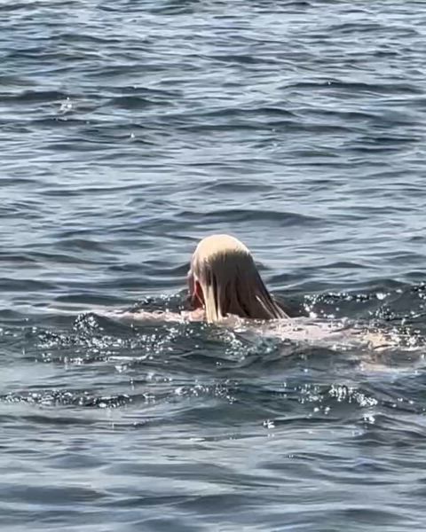 bikini blonde celebrity swimming pool wet clip