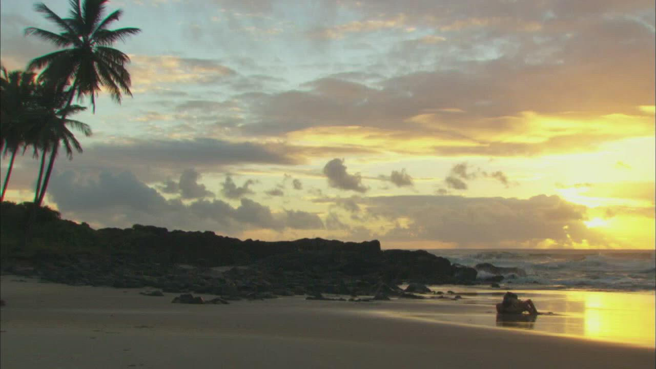 Beach Portuguese Sensual clip