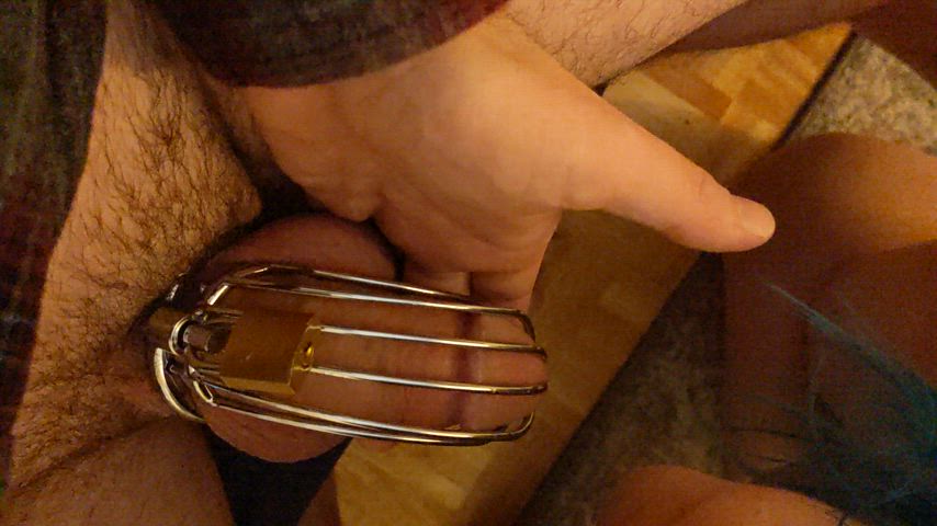 Chastity Couple Oral Tongue Fetish clip