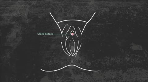  clip