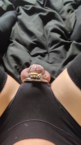 chastity cockslap humiliation panties sph sissy clip