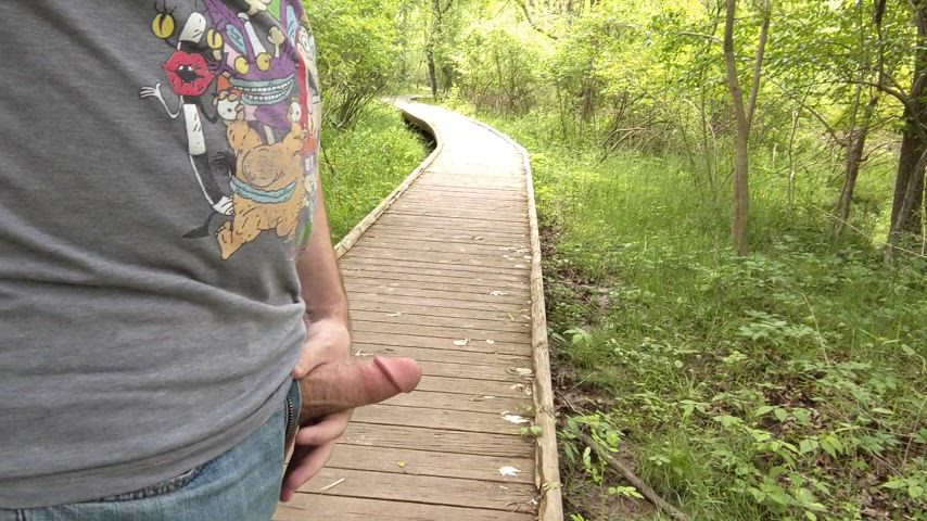 In the [M]iddle of a park path.