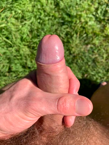 My uncut cock in the sun ☀️ 🍆