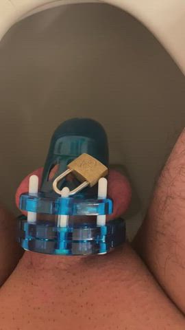 Blue Chastity Cock Mistress Penis Piss Pissing Sissy clip