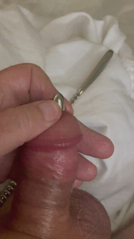 CBT Cock Object Insertion clip