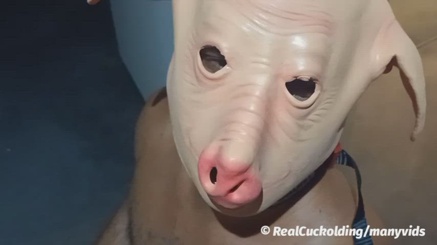 Stretching out the pig hole. The full vid here 👇 https://www.manyvids.com/Video/3383381/Stretching-Out-The-Pig-Hole/