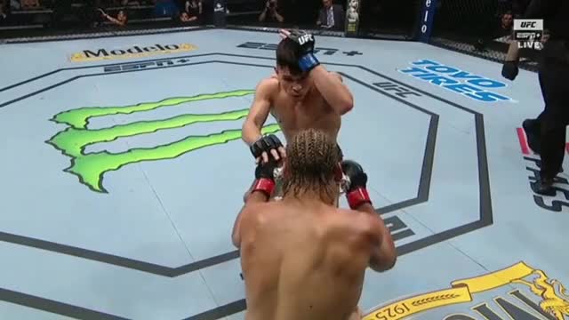 Faber KO - UFC Fight Night 155