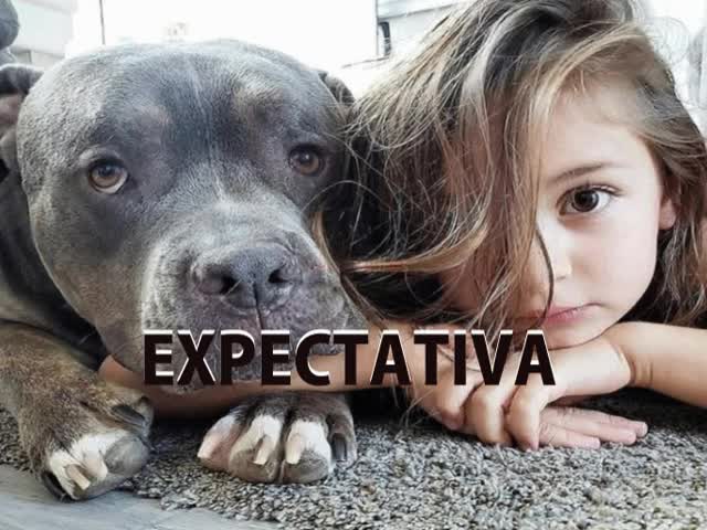 Perrote juega con niñita en casa solos xdeios