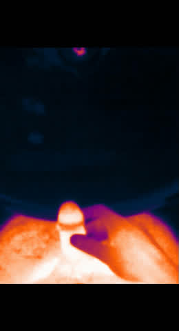 Have you ever seen a thermally imaged double laser piss?