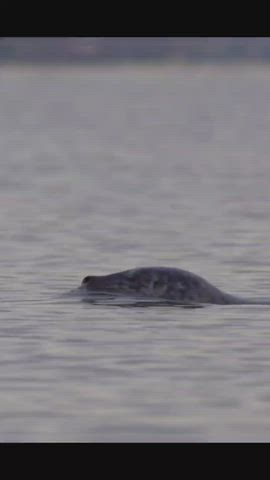 natural natural tits outdoor clip