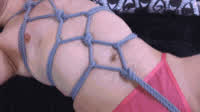 ftm grinding shibari clip