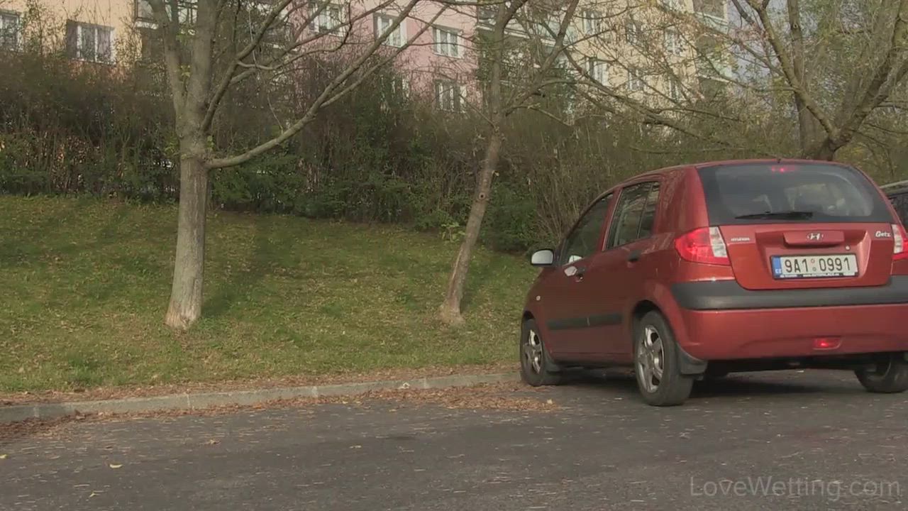 Peeing by a car
