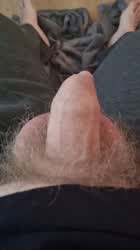 Foreskin Hairy Penis Precum clip