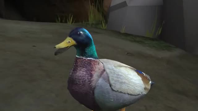 [SFM] Duck.exe has stopped working