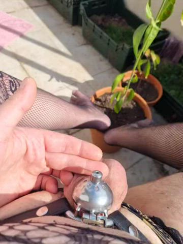 Sunbathing my swollen balls and pluged locked clitty while my gf(who doesnt know