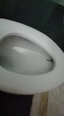 I sat on that toilet for about 10 or 15 minutes. After I flushed I noticed this.