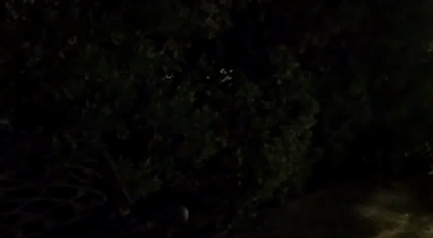 ass butt plug skirt clip