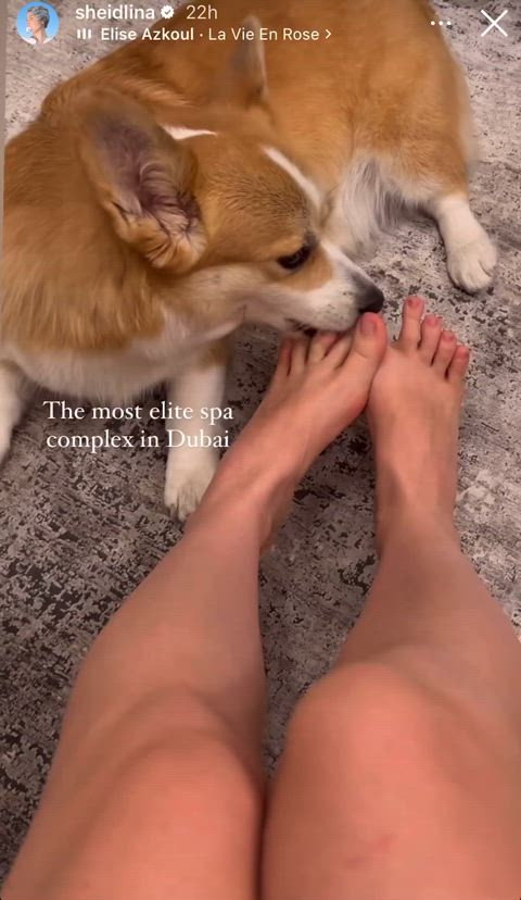 barefootmilf dirty feet feet feet fetish feet licking feet sucking foot foot fetish