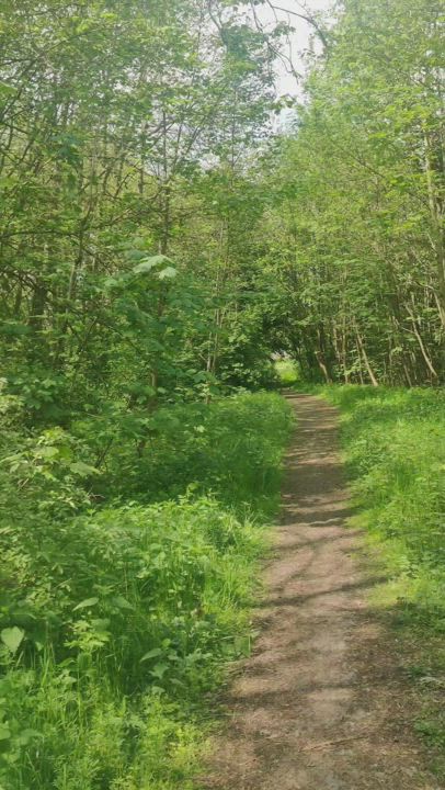 Dumping my cum on a public trail. I met a cycling couple just seconds after taking