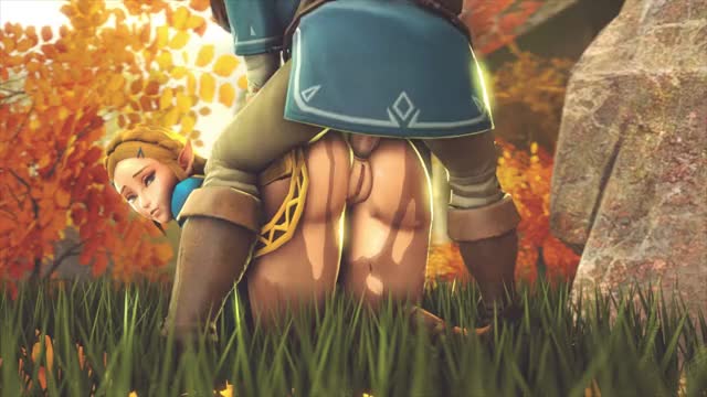 BotW Zelda AssFucked Doggy-style w/ sound