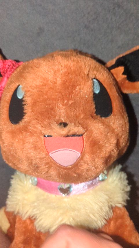 Eevee's facial misfire