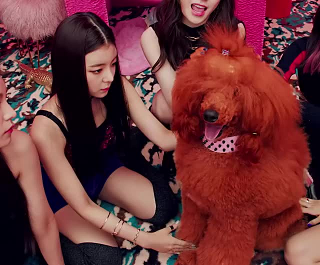 ITZY 달라달라(DALLA DALLA) M V liaaaaaa pets doggo