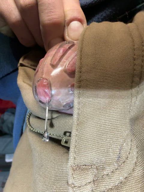 caged chastity dripping precum clip