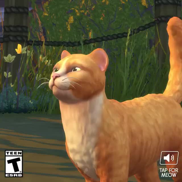 The Sims 4 Cats & Dogs- Cats vs Raccoons Video Clip.mp4