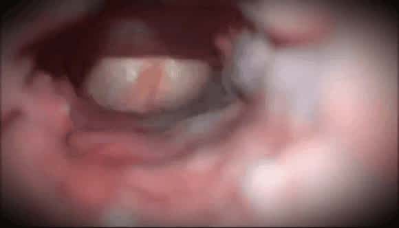 Couple Ejaculation Pussy clip