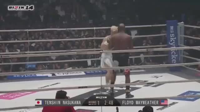 Floyd in Japan Exhibition Fight
