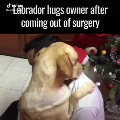  #petlove #best #video seen on #internet today.  watch out the #hug