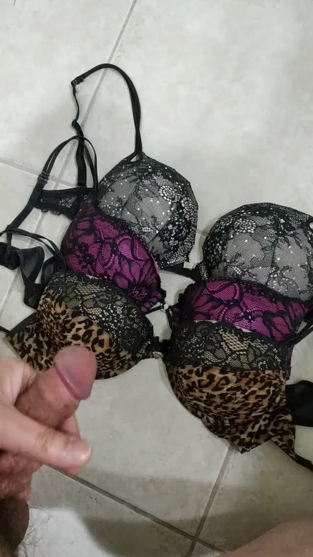 Cum on sister's bras