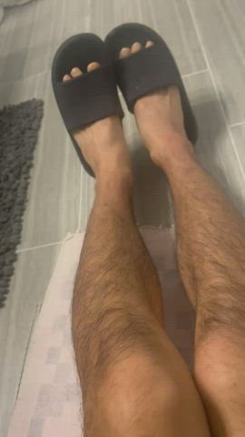 Asian Hairy Legs