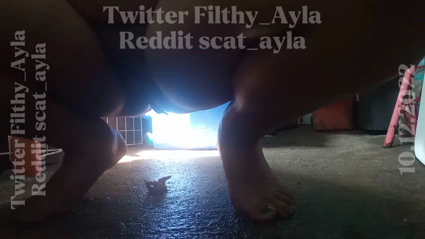 asian toilet r/asianporn clip