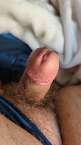 bear cumshot hairy cock male masturbation clip