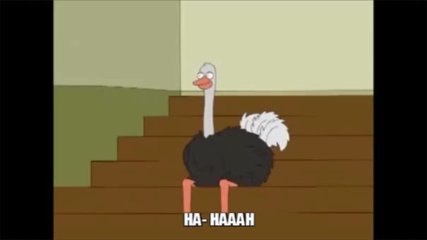 Family Guy Ostrich