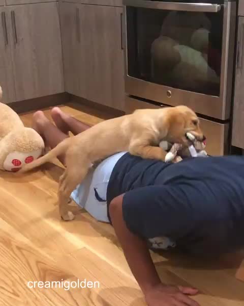 Helping daddy with his workout routine!#throwback tb • • • •