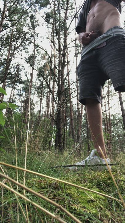 Watering the forest